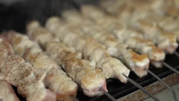 Carne Maiale Sugli Spiedini Che Cucinano Sulla Griglia Calda Primo — Video Stock