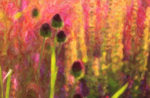 Piękne Tło Egzotycznych Kwiatów Zachodzie Słońca Rzadkie Kwiaty Allium Ampeloprasum — Zdjęcie stockowe
