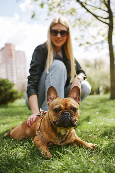 晴れた春の公園で犬を歩く美しいブロンドの女性 かわいい茶色のフランスのブルドッグは草の上に横たわってカメラを見て — ストック写真