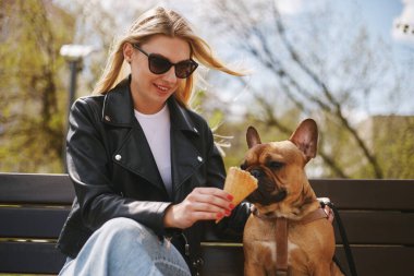 Güzel sarışın bir kadın bankta oturuyor ve bir köpeği dondurmayla besliyor. Tatlı buldog yavrusu tatlıyı afiyetle yiyor.