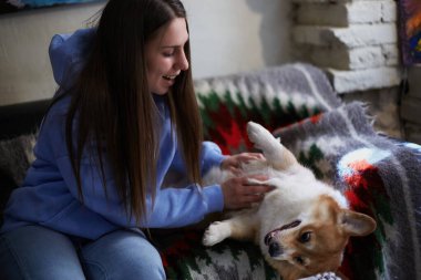 Köpek sever Corgi ile oynuyor. Neşeli genç kadın, genç Pembroke Welsh Corgi ile kanepede oynuyor. 