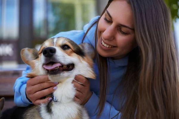 Счастливый Владелец Собаки Играет Корги Портрет Веселой Молодой Женщины Домашнего — стоковое фото