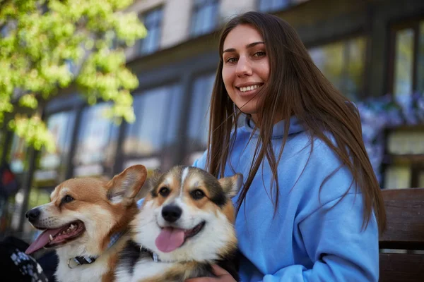 Glückliche Hundebesitzerin Auf Einer Bank Mit Zwei Entzückenden Corgis Fröhliche — Stockfoto