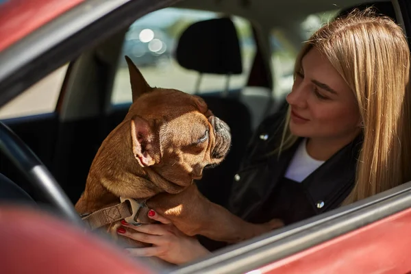 Amante Del Cane Viaggio Auto Con Suo Animale Domestico Preferito — Foto Stock