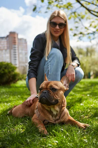 Молодая Блондинка Выгуливает Собаку Зеленом Парке Здоровый Активный Французский Бульдог — стоковое фото