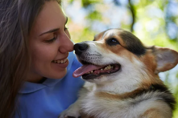 快乐的狗主人与可爱的科尔吉玩耍的肖像 快乐的年轻女人摸着她的彭布罗克威尔士科奇小狗的鼻子 — 图库照片