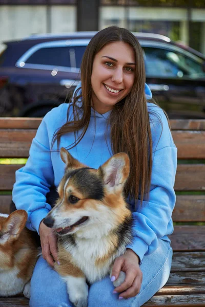 快乐的年轻女人坐在长椅上 围裙上抱着科奇小狗 城市里与彭布罗克威尔士科尔吉在一起的友善的狗主人 — 图库照片