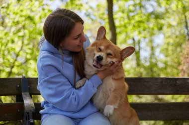 Sahibi yeşil parkta komik bir Corgi köpeğine sarılıyor. Kahverengi Pembroke ile oynayan neşeli genç bayan dışarıda Galli Corgi köpek yavrusu