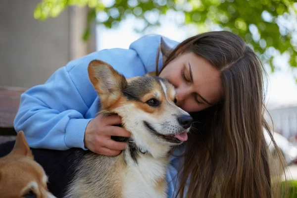 Köpek Sever Kadın Dışarıda Bir Corgi Sarılıyor Sevgi Dolu Evcil — Stok fotoğraf