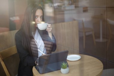 Kahve içen ve kafede taşınabilir bilgisayar kullanan güzel bir genç kadın. Restoranda bir fincan kapuçinoyla poz veren uzun kahverengi saçlı güzel bir kadın portresi.