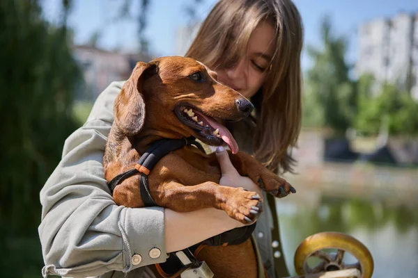 屋外で障害のある犬を運ぶ愛する所有者 車椅子の上に麻痺したダックスフントを持つ陽気な少女の肖像画 — ストック写真