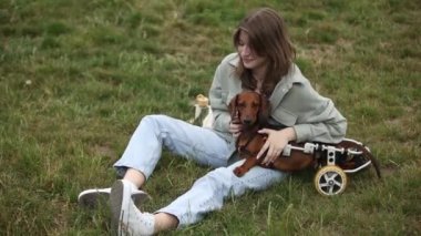 Sevgi sahibi tekerlekli sandalyede kötürüm köpeğe sarılıyor. Genç kız dışarıda belden aşağısı felçli evcil hayvanıyla oynuyor.