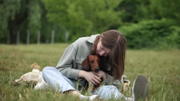 Власник Обіймається Паралізованою Собакою Кріслі Молода Дівчина Грає Своїм Інвалідом — стокове відео