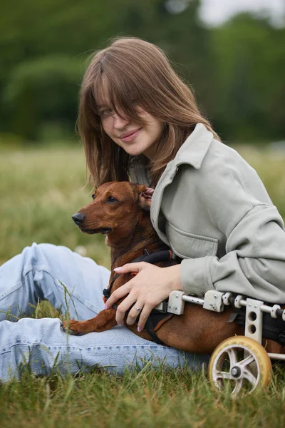 一个快乐的小女孩与瘫痪的宠物拥抱在一起的画像 快乐的少女在轮椅上抱着一只半身不遂的腊肠犬 — 图库照片