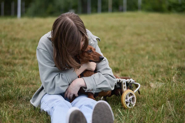 Dog owner girl hugging a paralyzed dachshund pet on a wheel chair