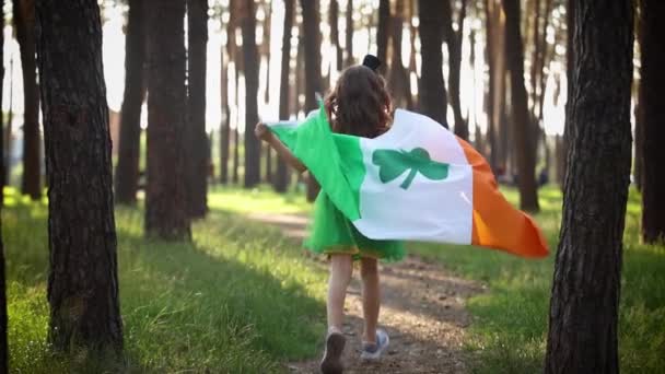 Little Girl Celebrates Patrick Day Cute Year Old Child Green — Video
