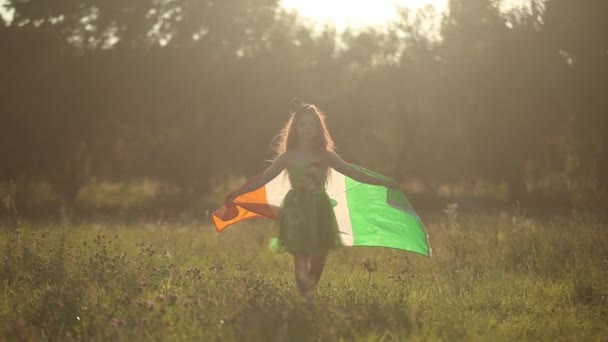 Мила Маленька Дівчинка Лепречуна Йде Прапором Ірландії Руках Під Час — стокове відео
