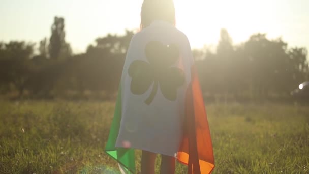 太陽の下でフィールドに立っているアイルランドの大きな旗で覆われた小さな少女は ゆっくりとした動きで撮影 — ストック動画