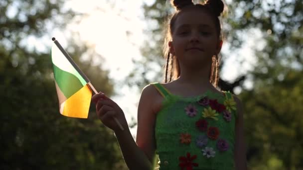 Gadis Leprechaun Yang Imut Melambaikan Tangan Dengan Bendera Irlandia Dalam — Stok Video
