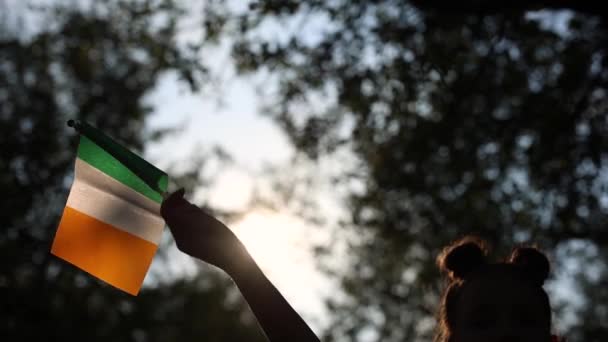 Liten Flicka Viftar Med Irlands Flagga Slow Motion Video — Stockvideo