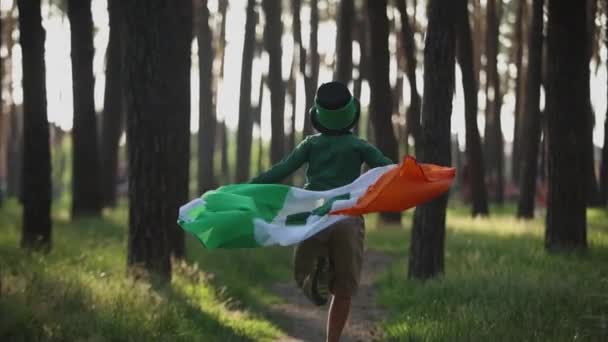 セントパティックスデーにアイルランドの旗で走るルプレシャンコスチュームのかわいい少年 — ストック動画