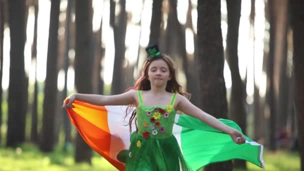 Linda Chica Pelirroja Duende Cliente Corriendo Con Bandera Irlandesa Las — Vídeos de Stock