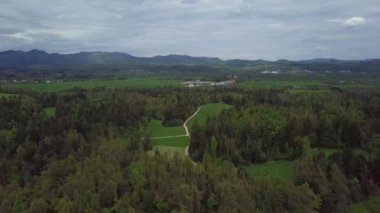 Slovenya 'daki yeşil ormanın insansız hava aracı klibi