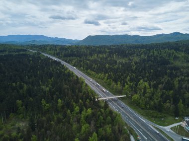 Yeşil orman ağaçlarıyla çevrili güzel Slovenya otoyolu