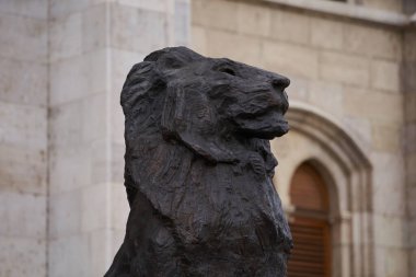 Macar Parlamento Binası 'nın (Macarca: Orszghz) doğu girişinde bulunan bronz aslan heykeli başı. Budapeşte, Macaristan - 7 Mayıs 2019 