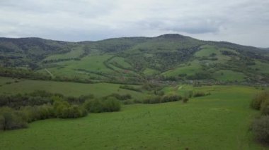 Karpatya dağlarındaki güzel yeşil vadi üzerinde yapılan bir uçuşun insansız hava aracı videosu. Batı Ukrayna 'da Idyllic doğa