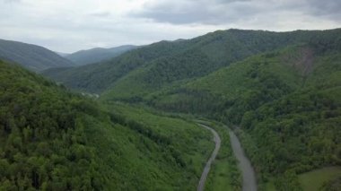 Karpat dağlarında akan yeşil orman ağaçlarıyla kaplı güzel bir nehrin hava aracı videosu. Batı Ukrayna 'nın güzel doğası