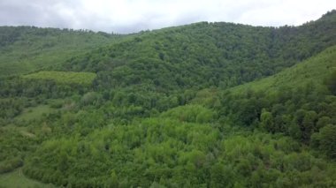 Karpat Dağları 'ndaki güzel yeşil orman baharda hava aracı kamerasıyla filme alınır.