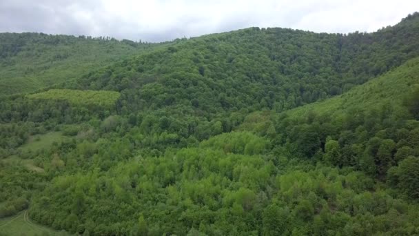 Krásný Zelený Les Karpatských Horách Natočený Leteckou Kamerou Jaře — Stock video
