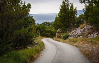 Hırvatistan 'da Adriyatik Denizi' ne giden kırsal yol. Yazın güzel Hırvat manzarası