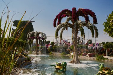 Miracle Garden 'daki dekoratif gölet ve çiçek tesisatı. Dubai, BAE - 7 Şubat 2020