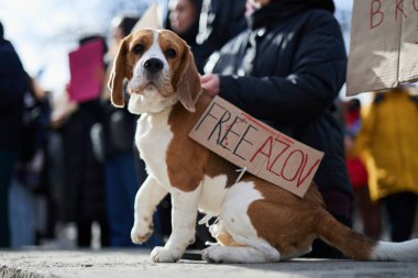 Mariupol 'ün yakalanan Azov tugay savaşçıları ve savunucularına adanmış barışçıl bir gösteride 