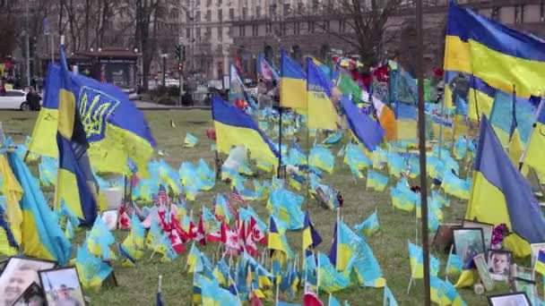 Велике Поле Прапорами України Пам Ять Про Загиблих Захисників Майдані — стокове відео
