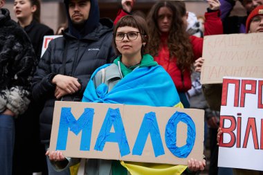 Ukraynalı vatansever Ukrayna Silahlı Kuvvetleri 'nin askeri bütçesinin artırılması için düzenlenen mitingde 