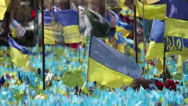 Меморіал Загиблим Захисникам України Майдані Незалежності Площа Незалежності Велика Група — стокове відео
