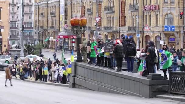 Grande Gruppo Attivisti Ucraini Che Manifestano Rilascio Soldati Catturati Dalle — Video Stock