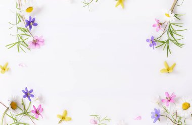 Beyaz arka planda pembe, mavi ve mor renkli küçük kır çiçekleri. Düz yatış, üst görünüm.