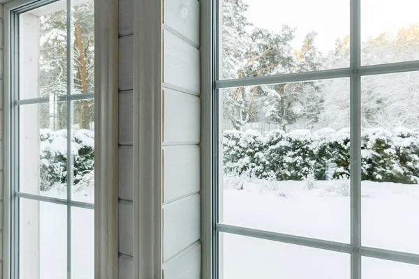 Domácí Vinylovaná Okna Zimním Výhledem Zasněžené Stromy Rostliny Nádvoří — Stock fotografie