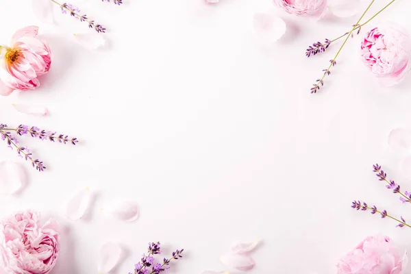Frame of lavender flowers and pink rose, banner, spa, beauty concept background