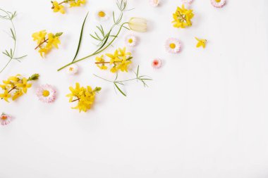 Çiçek desenli papatya, yeşil yapraklar, beyaz arka planda dallar. Düz yatış, üst görünüm.