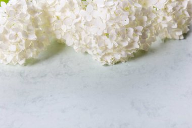 White hydrangea flowers panoramic border, banner, wedding romantic marble background. Flat lay. Wide screen Web banner or flyer with copy space