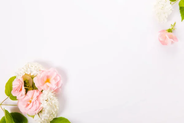 粉红和白色的花 秋海棠和绣花在白色的背景上 俯瞰头顶 复制空间 — 图库照片