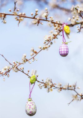 Bahçede çiçek açan kiraz dalları, mavi gökyüzüne karşı paskalya yumurtalarıyla süslenmiş.