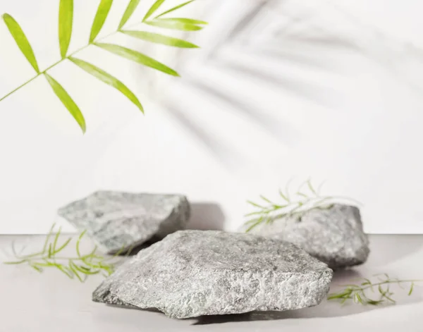 Podium Made Natural Stone Concrete Tropical Leaves Sunlight Empty Showcase Stock Picture