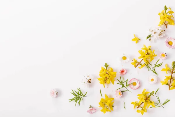 Květinový Rám Divokými Květy Sedmikrásky Zelené Listy Větve Bílém Pozadí — Stock fotografie