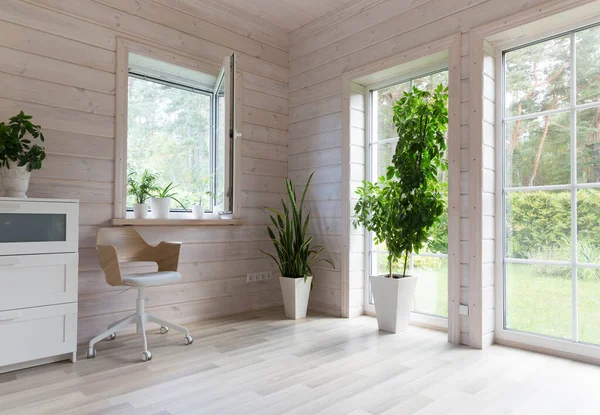 白木の家 光の家具や室内植物で北欧スタイルの部屋のインテリア — ストック写真